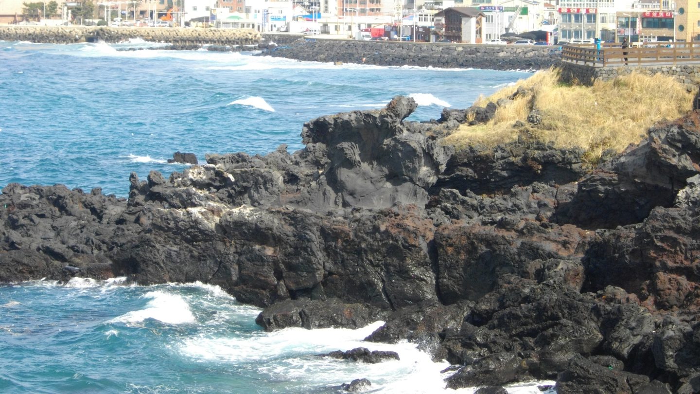 사진: あばさー · Public domain / Wikimedia Commons