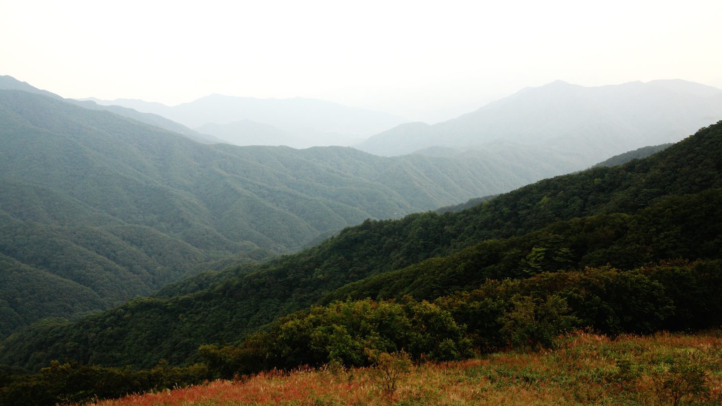 사진: Seong Ilhan · CC BY-SA 4.0 / Wikimedia Commons