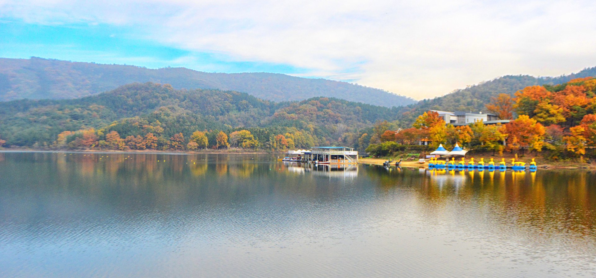 사진: Wikimedia Commons – Daegu City Official(대구광역시) · CC BY-SA 4.0