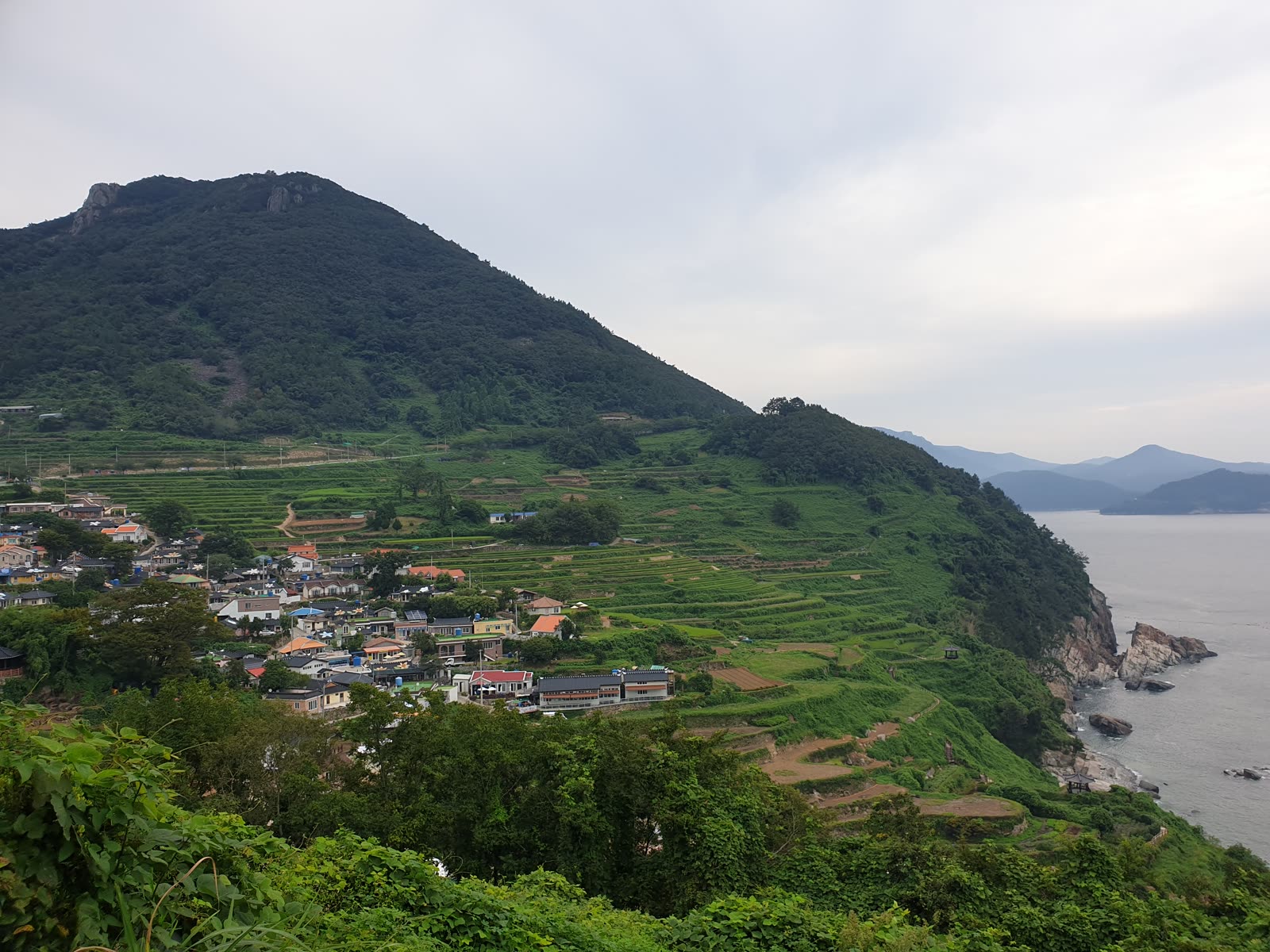 사진: Choi2451 · CC0 / Wikimedia Commons
