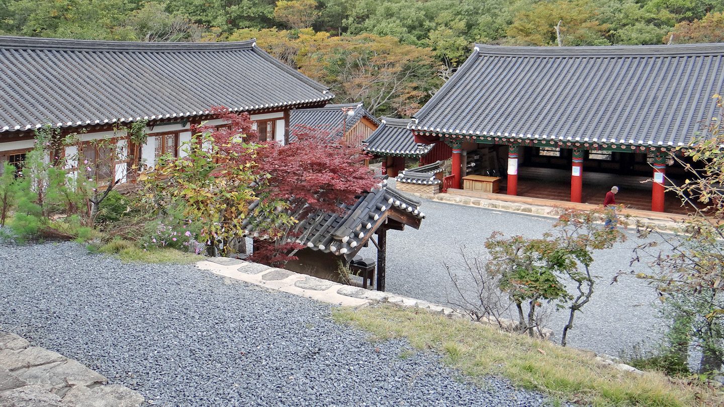 사진: Steve46814 · CC BY-SA 4.0 / Wikimedia Commons