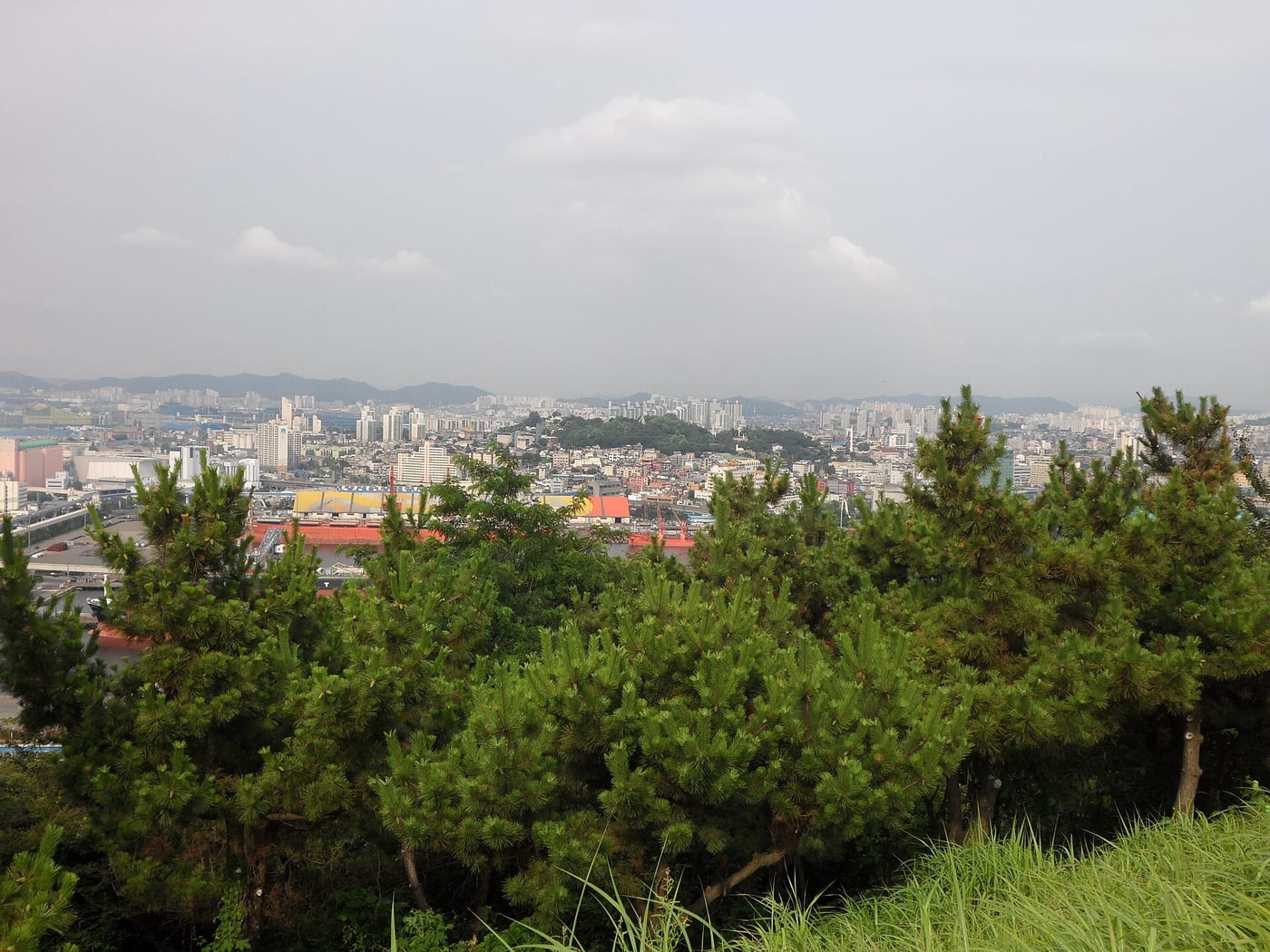 사진: JNicol · CC BY-SA 3.0 / Wikimedia Commons