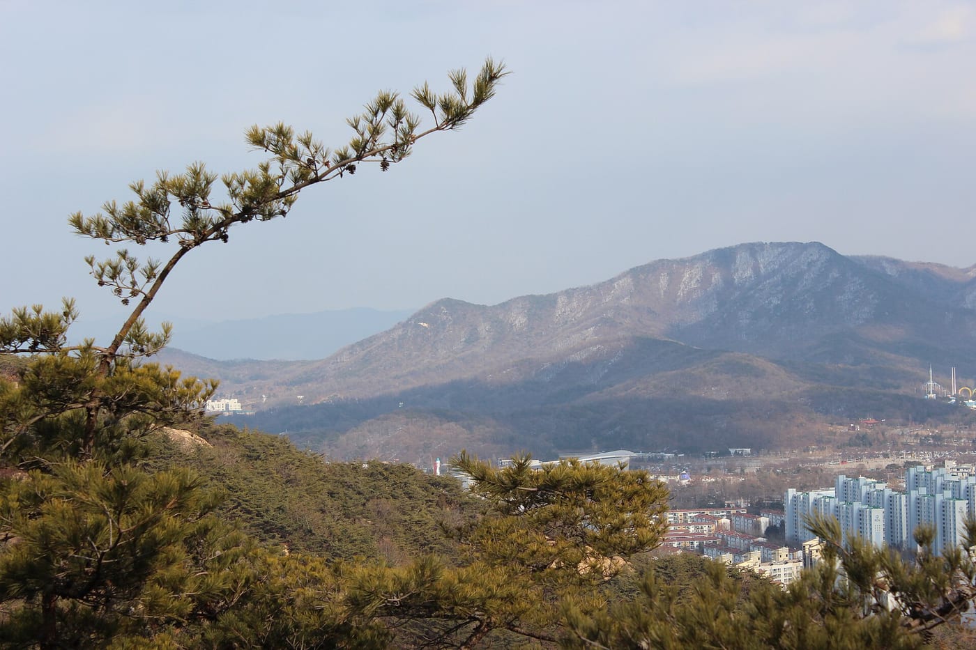 사진: 칼빈500 · CC BY-SA 3.0 / Wikimedia Commons